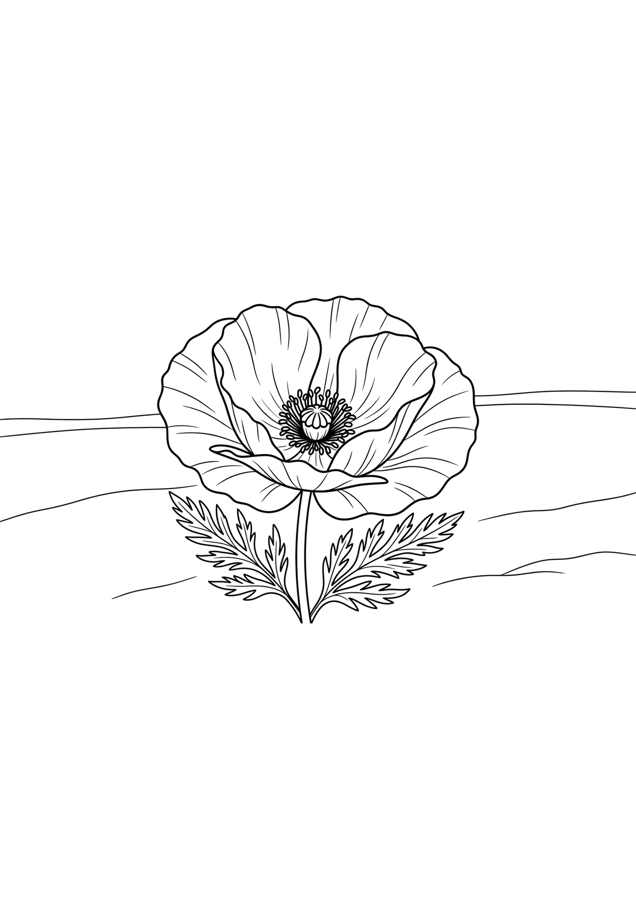 Dibujo de Amapola para Colorear para Niños de 2 a 5 Años