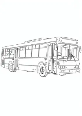 autobus