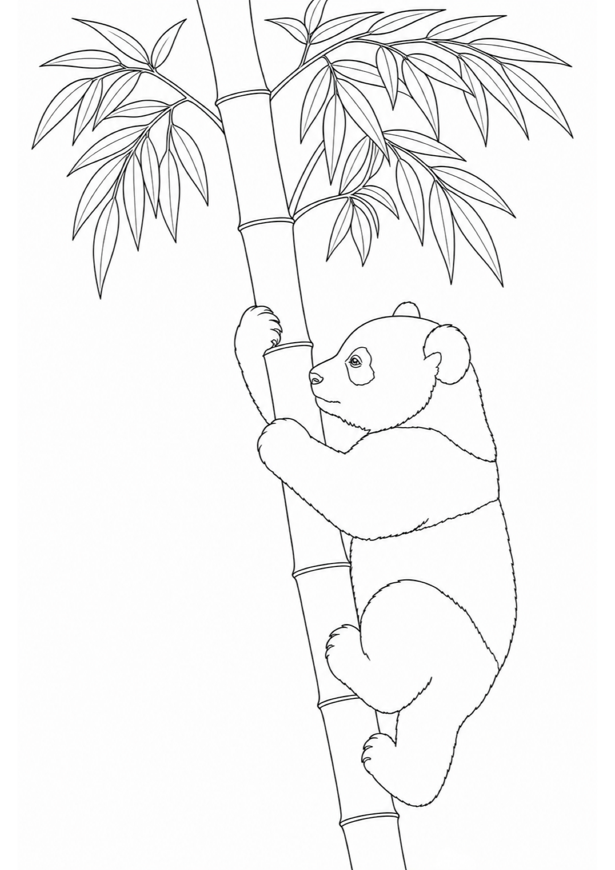 Baby Panda Coloring Page to Print Free