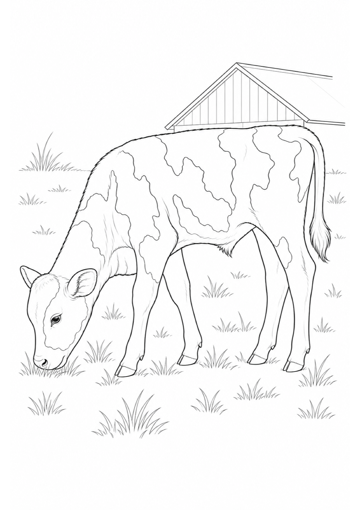 Grazing Calf Coloring Page to Print Free