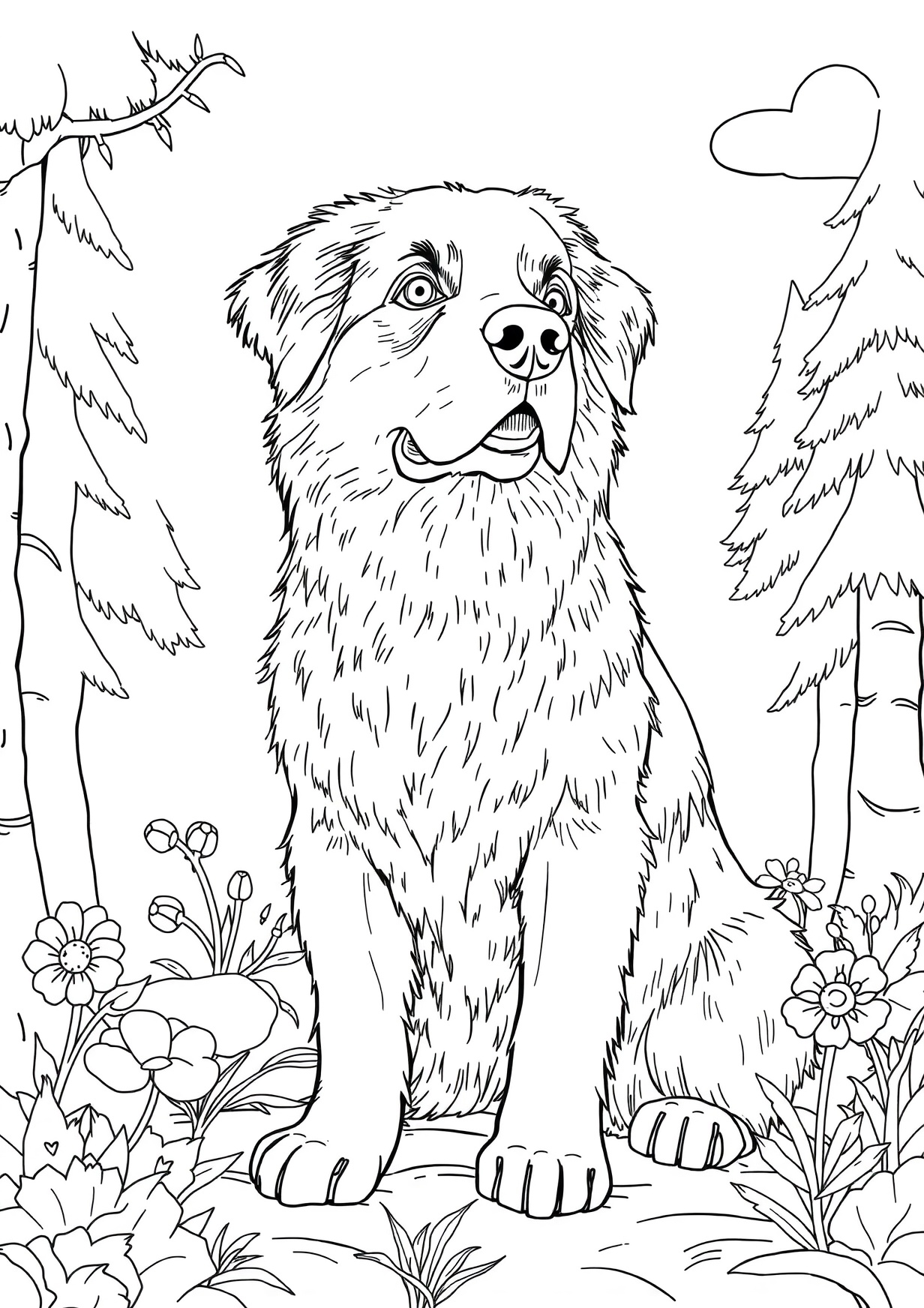 Bernese mountain dog Coloring Page for Ages 6 and Up