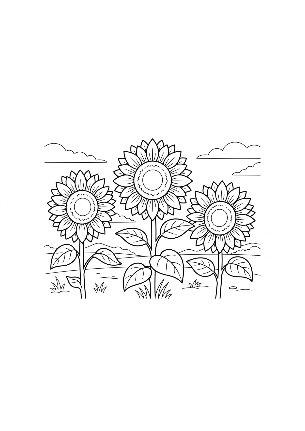 campo de girasoles