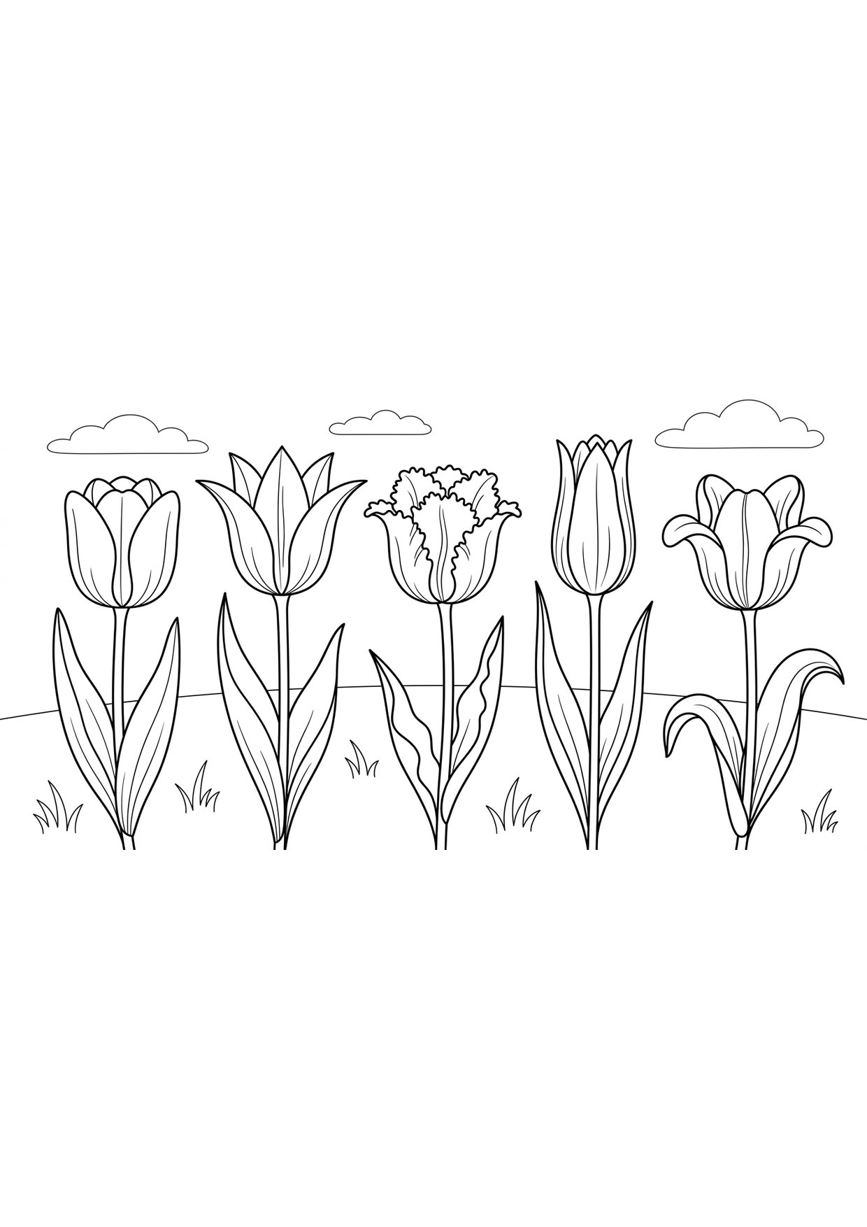 campo de tulipanes
