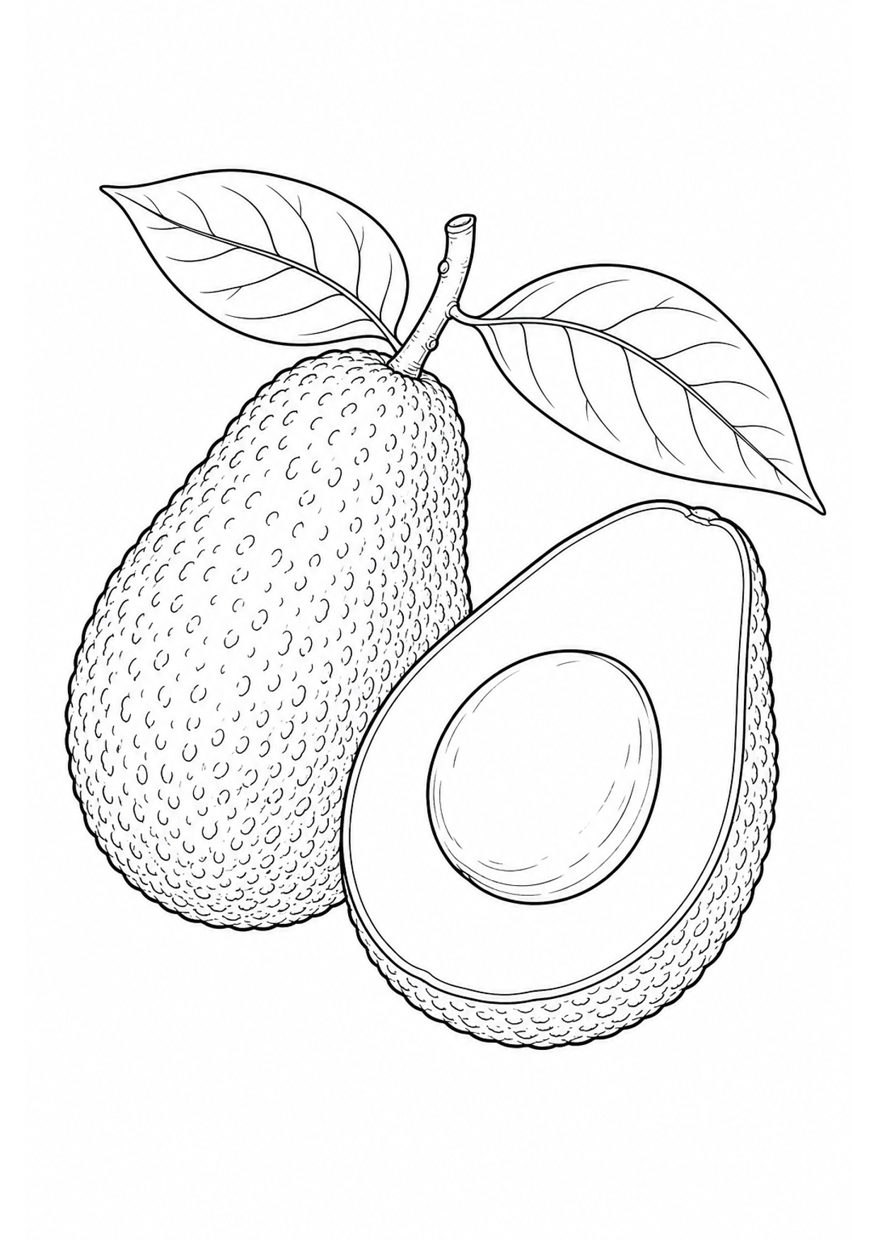 Avocado Coloring Page to Print Free