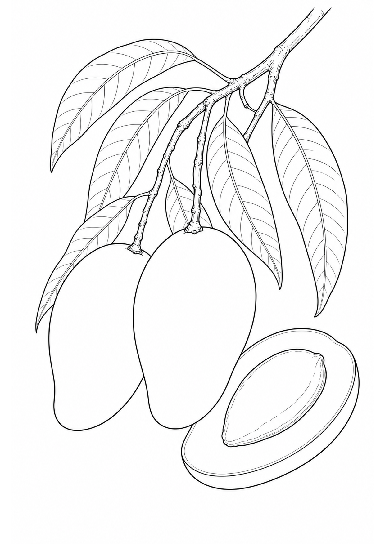 Mango Coloring Page to Print Free