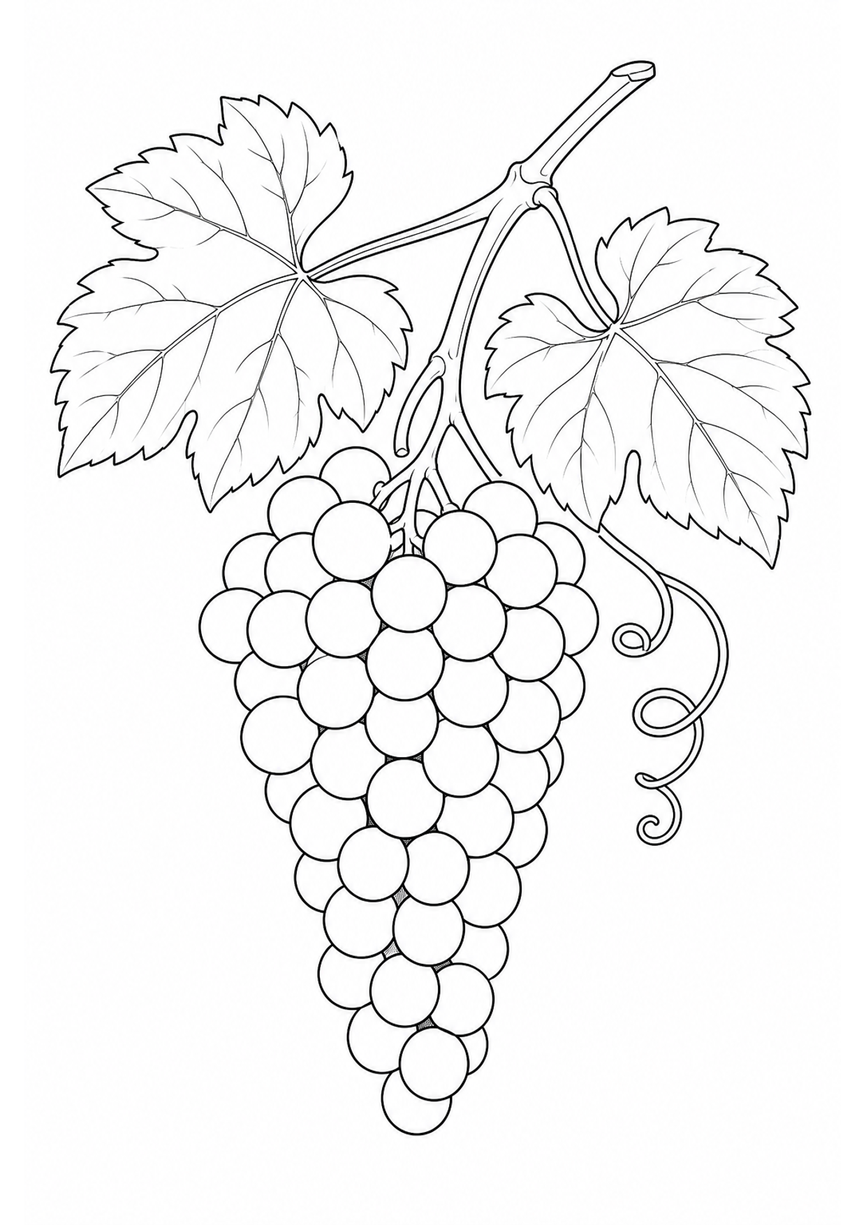 Bunch of Grapes Coloring Page to Print Free