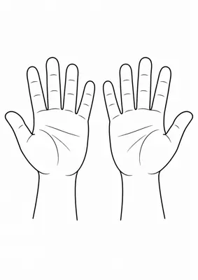 The hands coloring page — printable human body flashcard