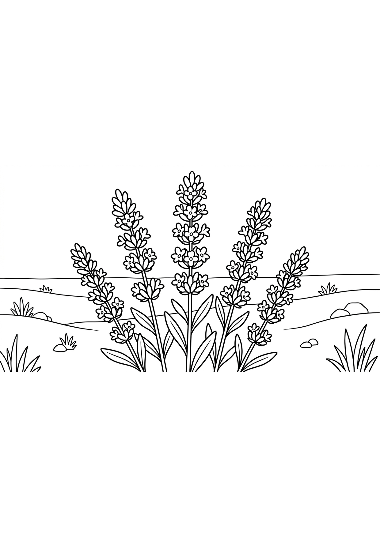 Dibujo de Lavanda para Colorear para Niños de 2 a 5 Años
