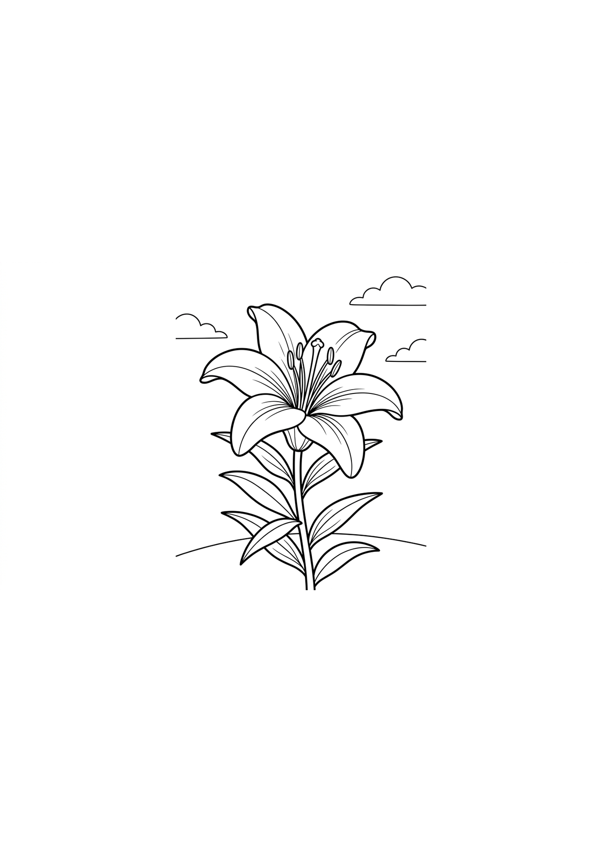 lirio