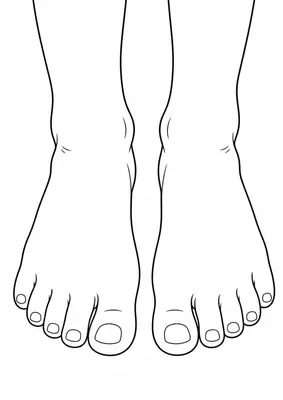 The feet coloring page — printable human body flashcard