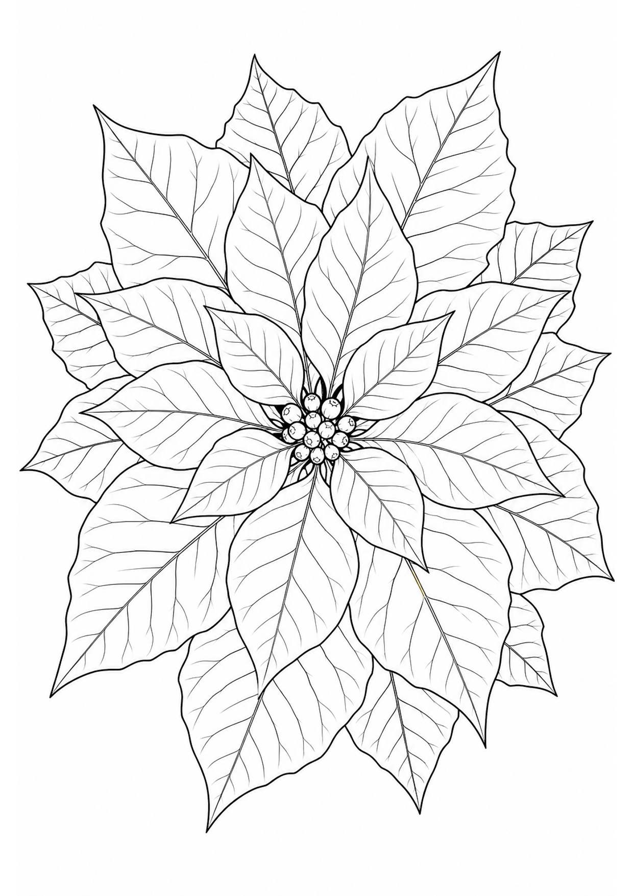 Dibujo de Flor de Pascua para Colorear e Imprimir