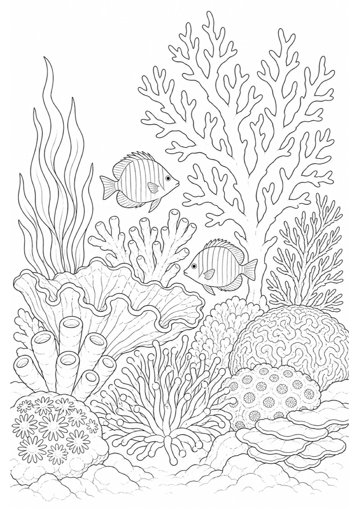Dibujo de Arrecife de Coral para Colorear e Imprimir