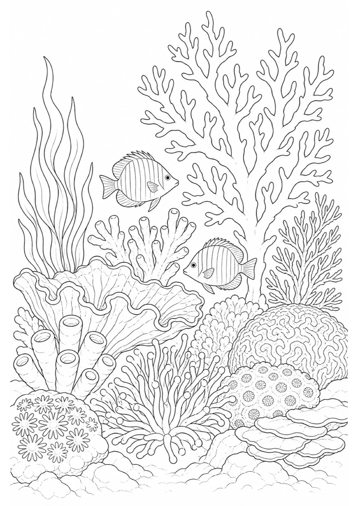 Dibujo de Arrecife de Coral para Colorear e Imprimir