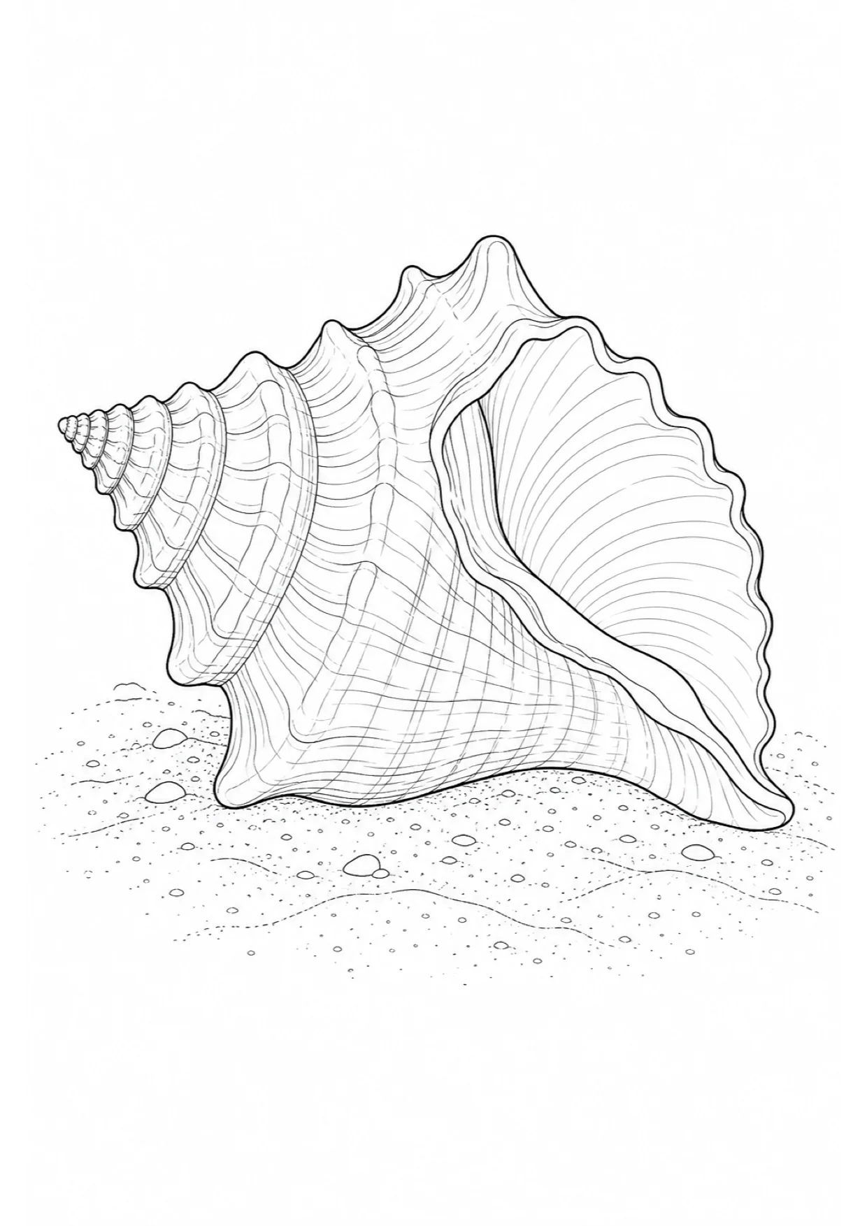 Dibujo de Caracola de Mar para Colorear e Imprimir