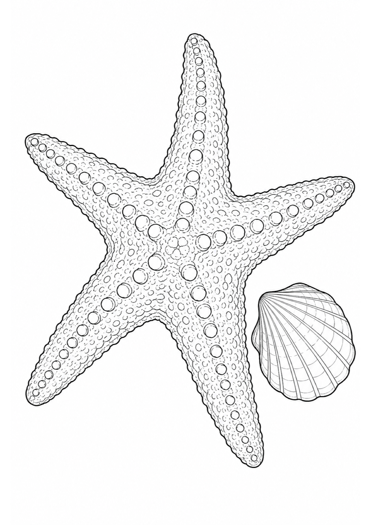 Dibujo de Estrella de Mar para Colorear e Imprimir