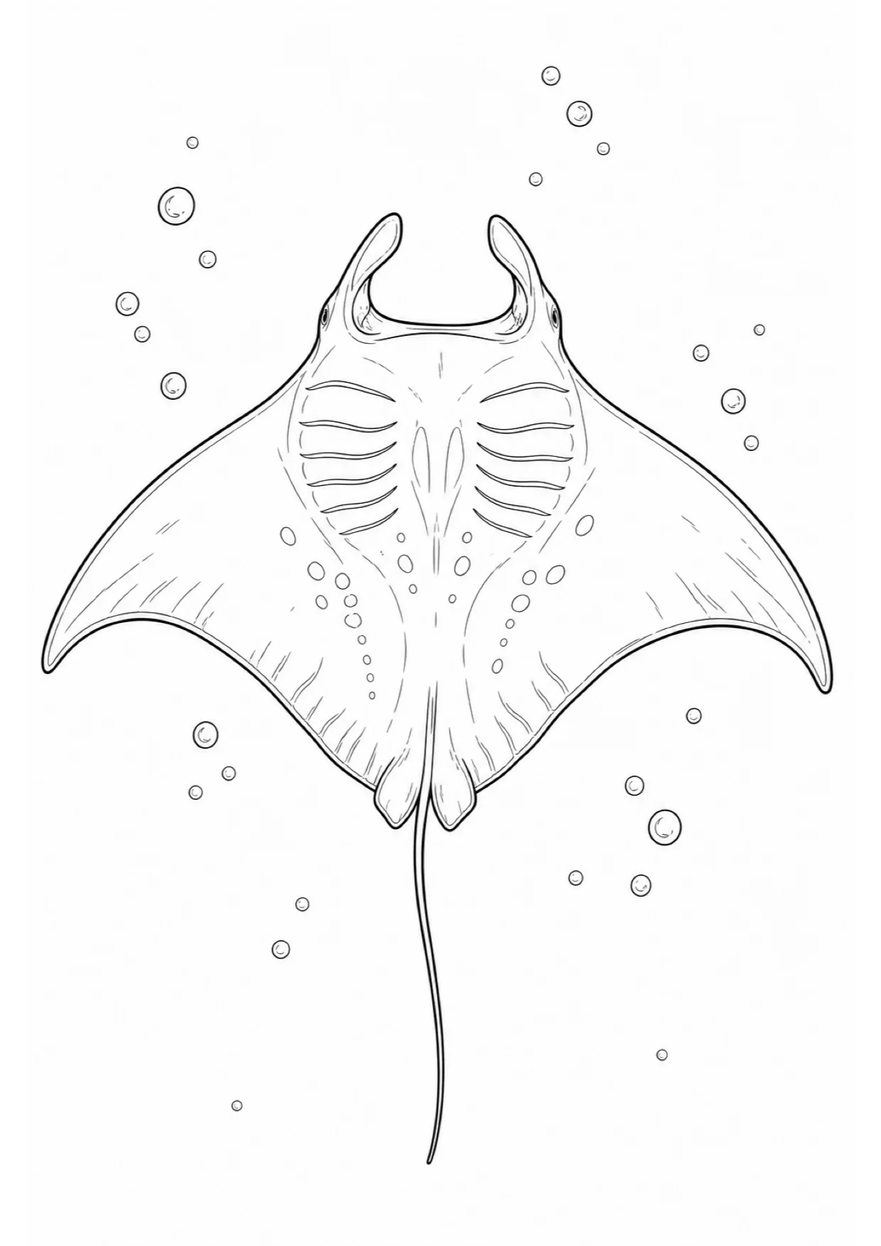 Dibujo de Mantarraya para Colorear e Imprimir
