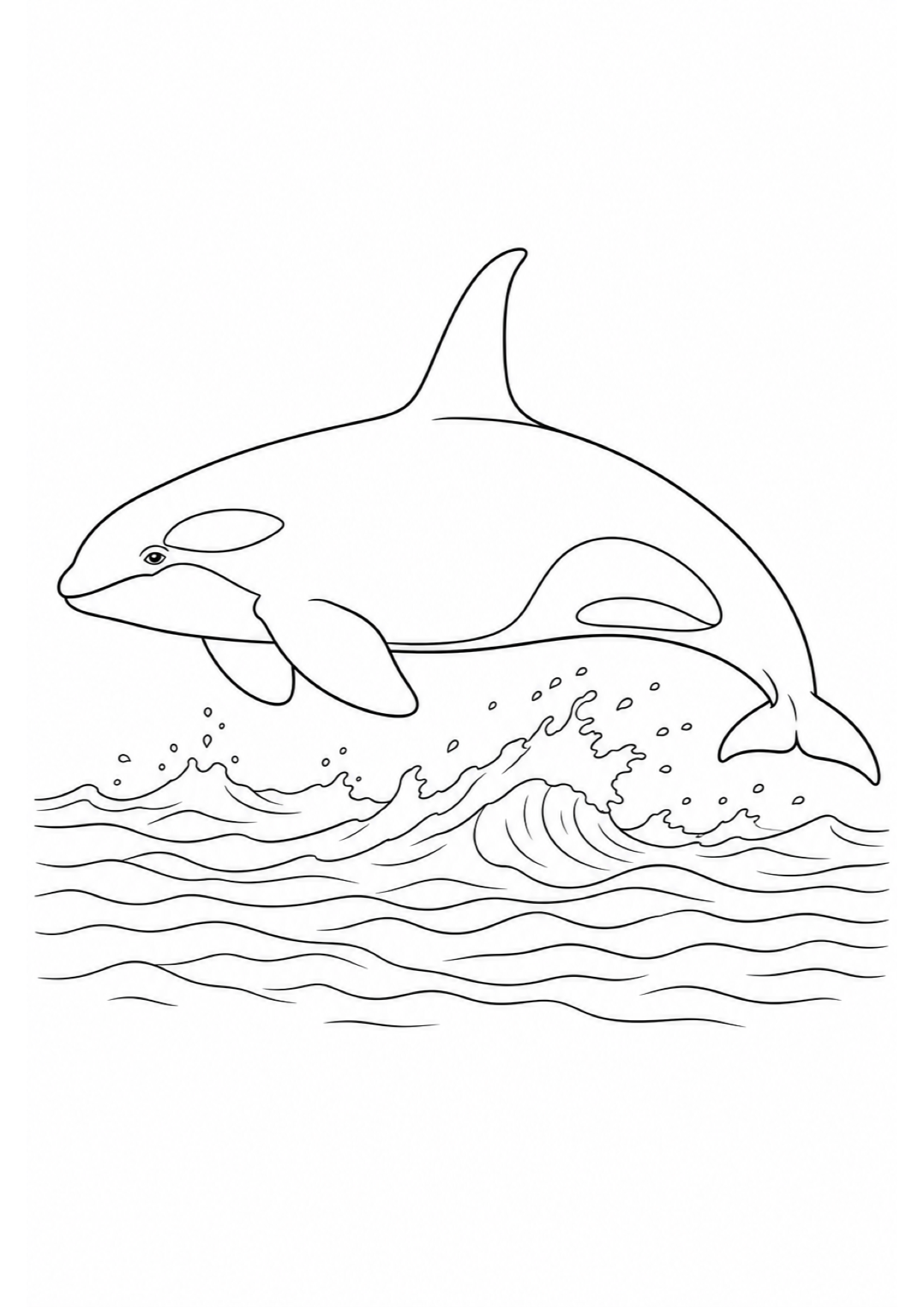 Dibujo de Orca para Colorear e Imprimir