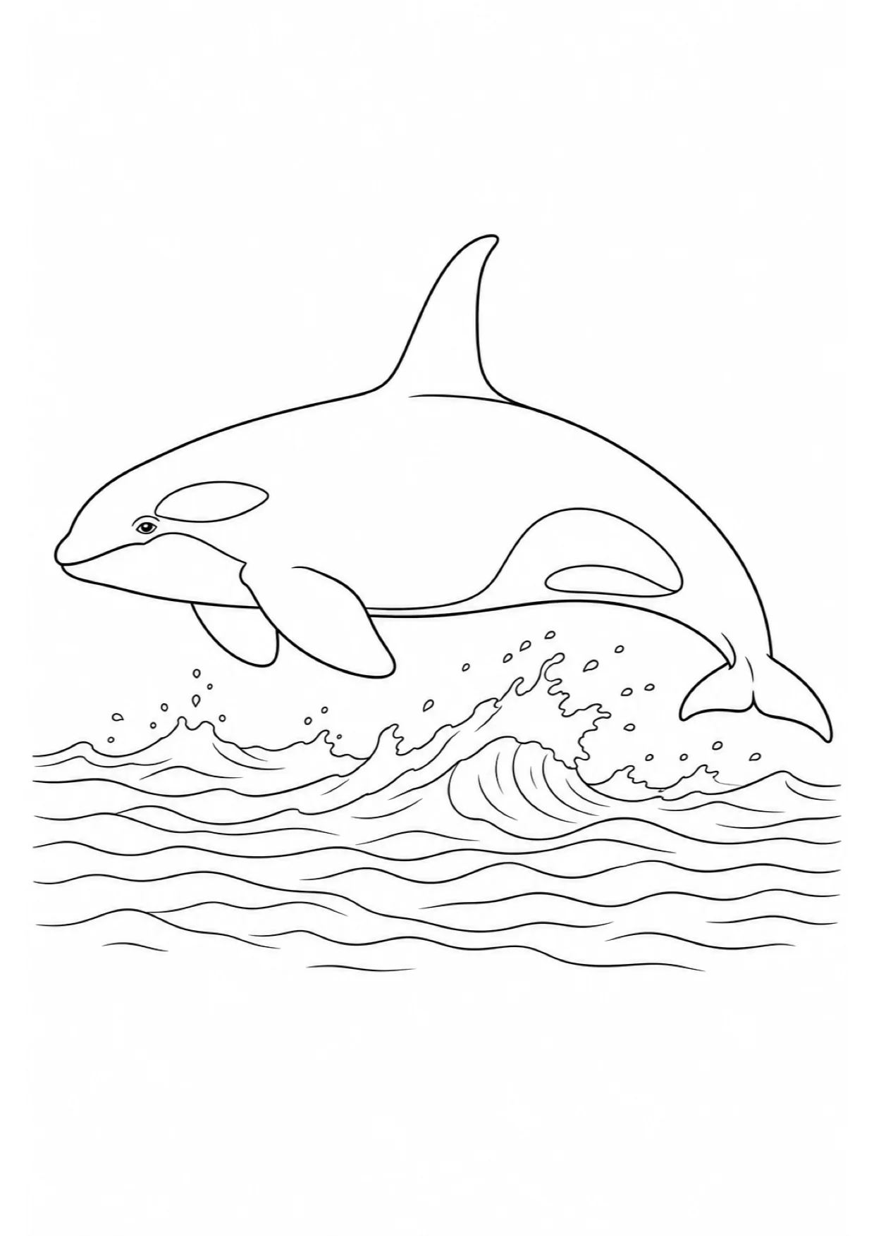 Dibujo de Orca para Colorear e Imprimir