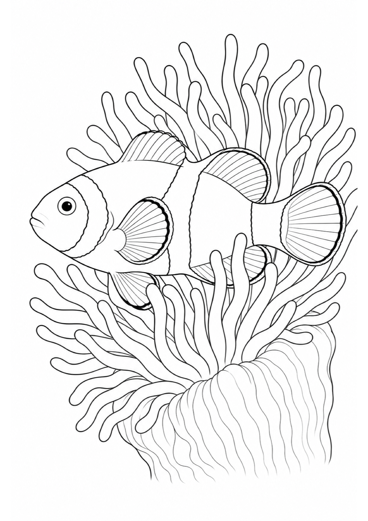 Dibujo de Pez Payaso para Colorear e Imprimir