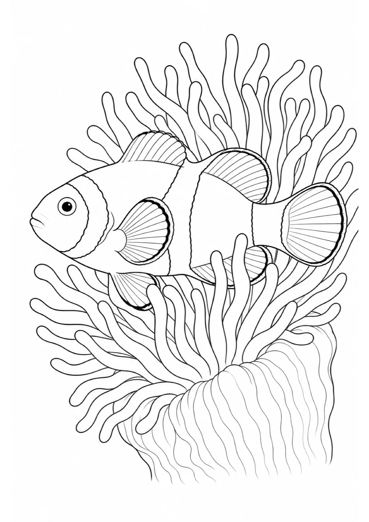 Dibujo de Pez Payaso para Colorear e Imprimir