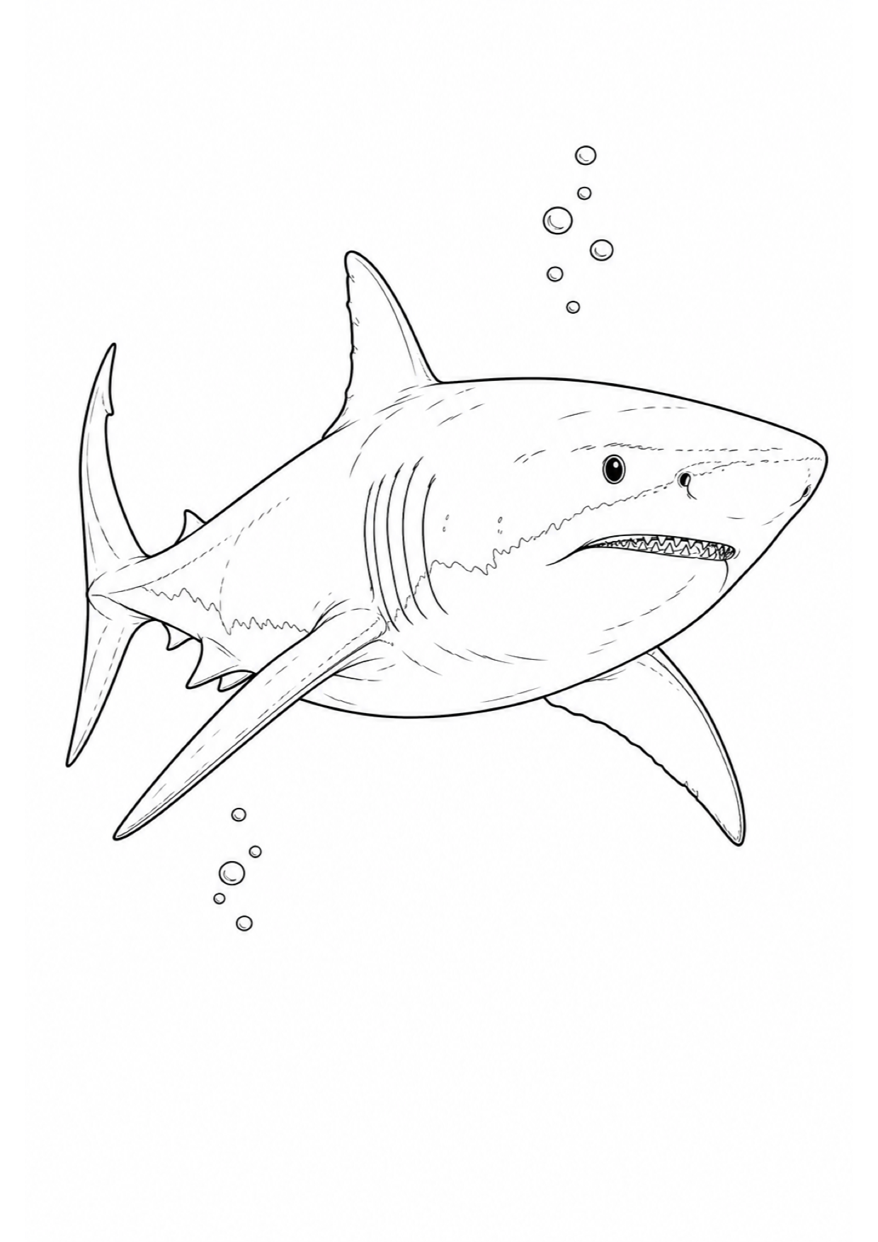 Dibujo de Tiburón para Colorear e Imprimir