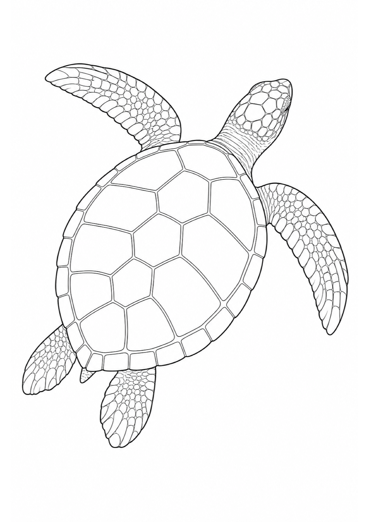 Dibujo de Tortuga Marina para Colorear e Imprimir