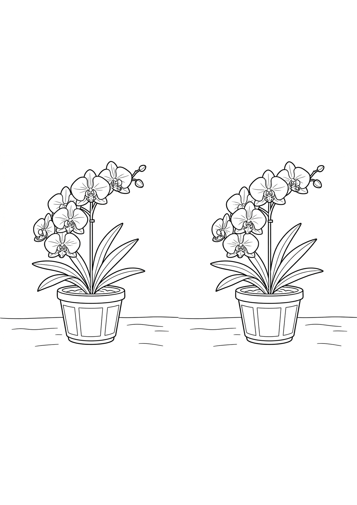 orquidea en maceta