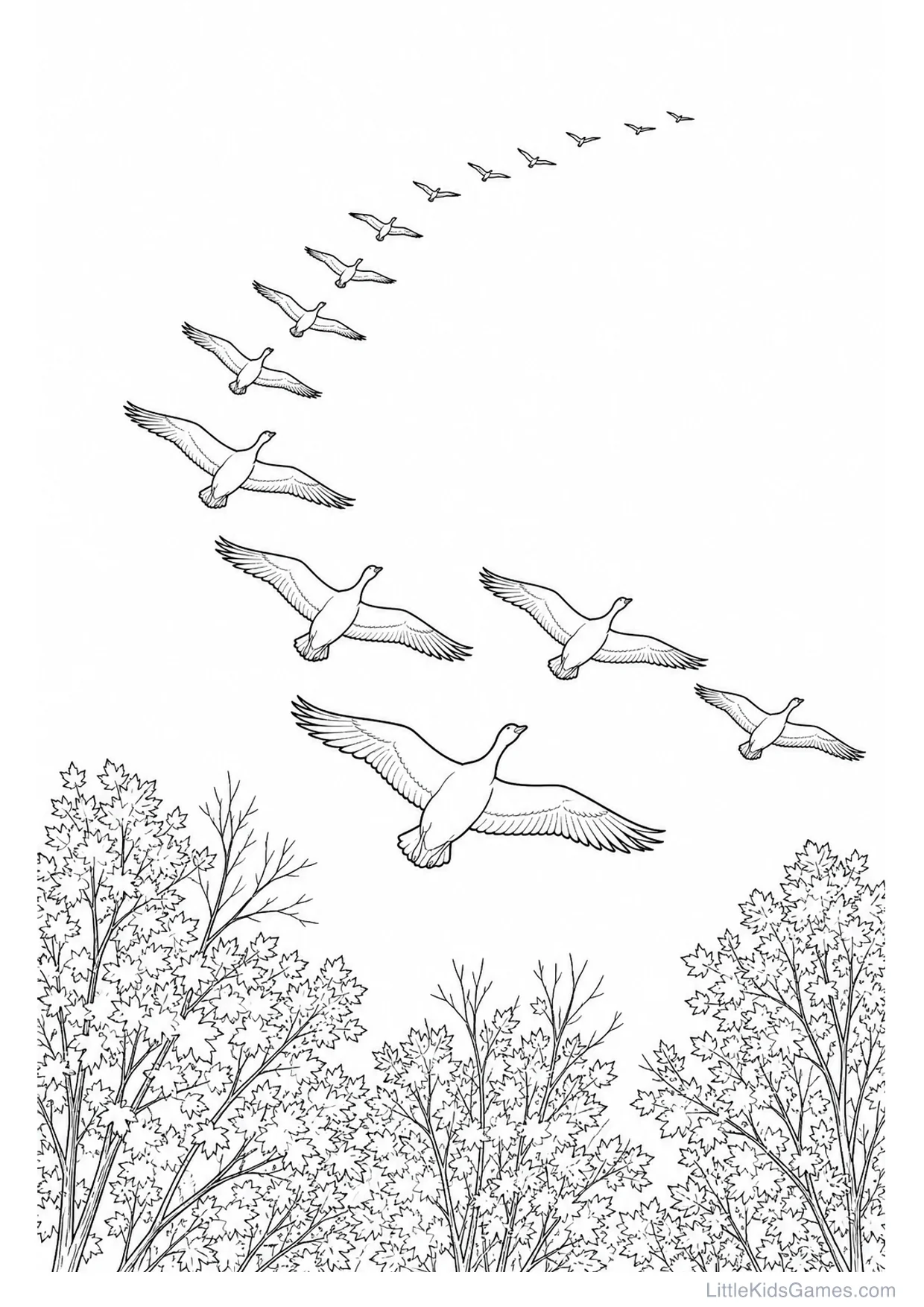 Desenho de Aves Migrando para Colorir e Imprimir
