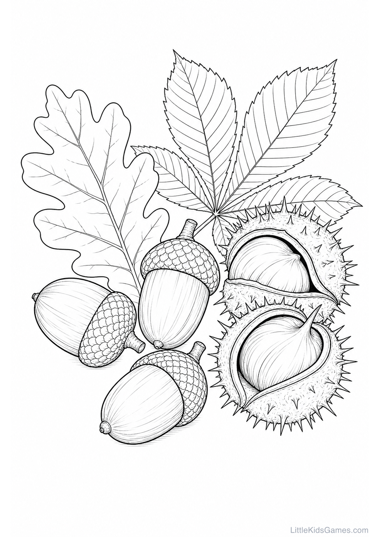 Desenho de Bolotas e Castanhas para Colorir e Imprimir
