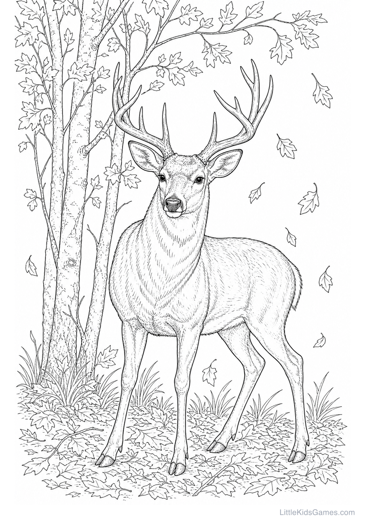 Desenho de Veado na Floresta para Colorir e Imprimir
