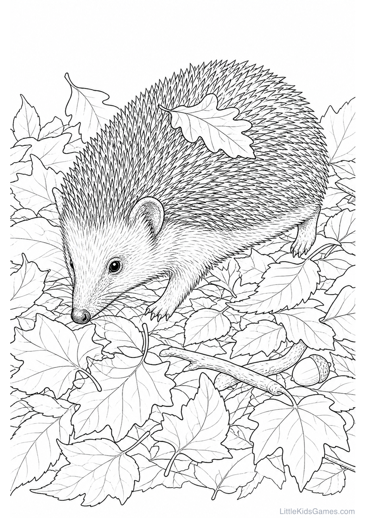 Desenho de Ouriço entre Folhas para Colorir e Imprimir
