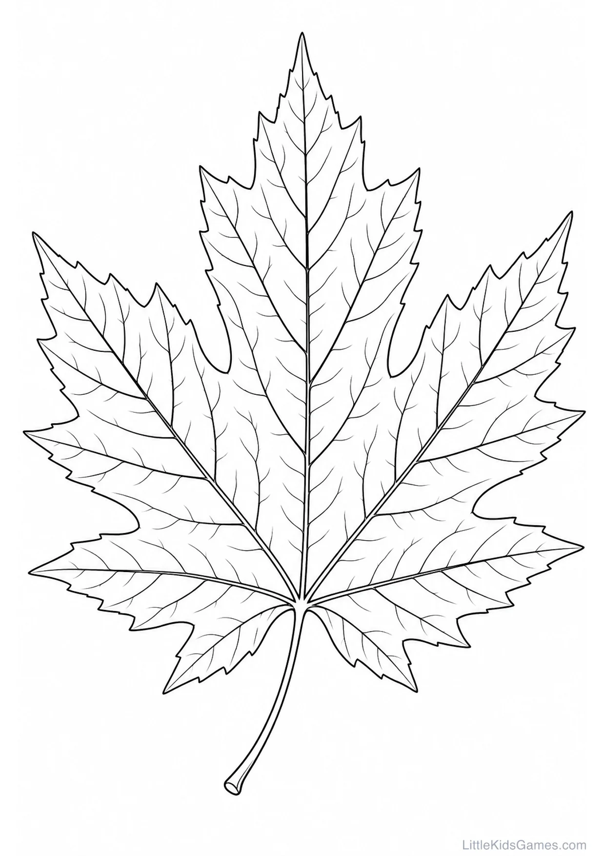 Maple Leaf Coloring Page to Print Free