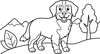 perro bernés