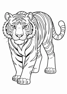 tigre